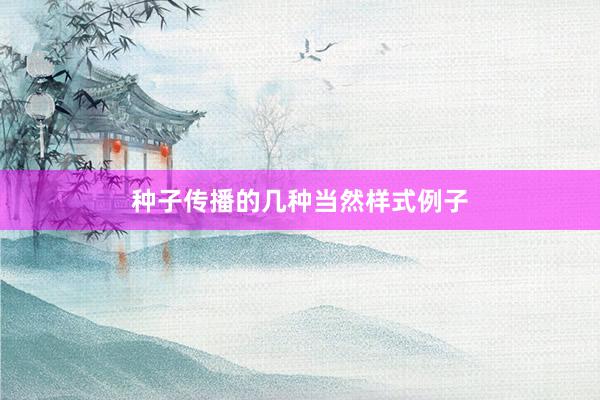 种子传播的几种当然样式例子